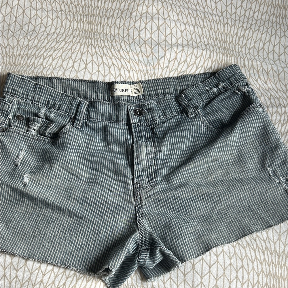 Blue Striped Jean Shorts - Size 32